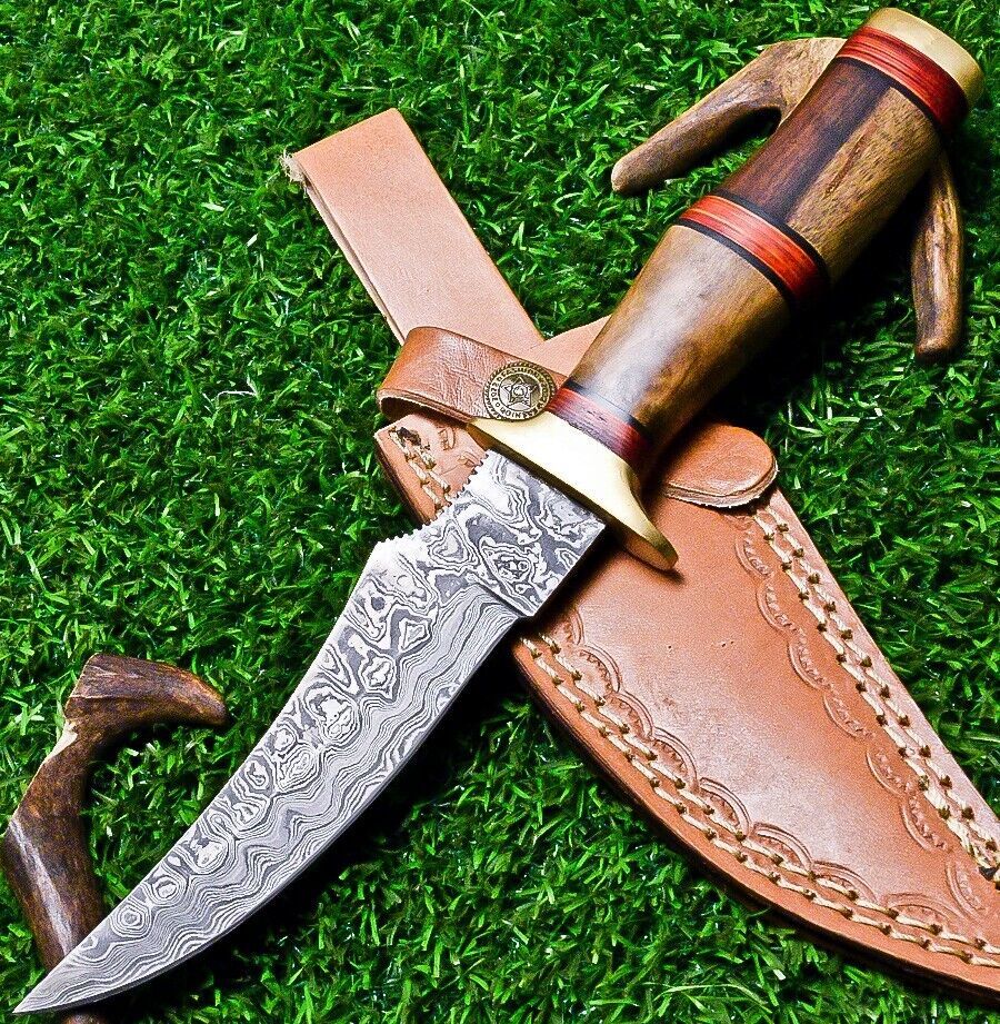 10" Handmade Damascus Steel Bowie Knife | Natural Wood Handle