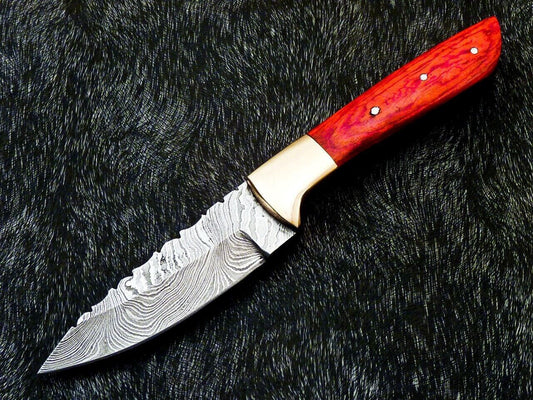 Heritage Forge 8 Inch Full Tang Damascus Bowie Knife with Hardwood Handle and Brass Bolster