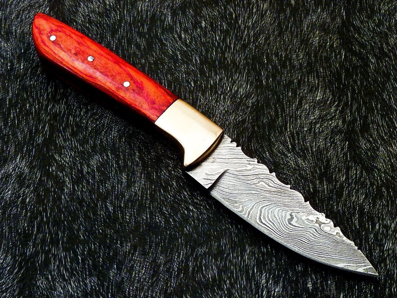 Heritage Forge 8 Inch Full Tang Damascus Bowie Knife with Hardwood Handle and Brass Bolster