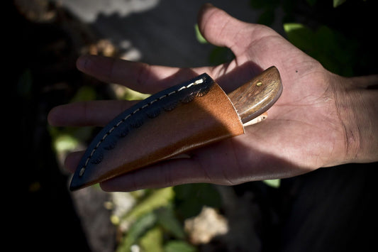 5.5" AUS-8 Steel Skinner Knife with Walnut Wood Handle & Steel Bolster Leather Sheath