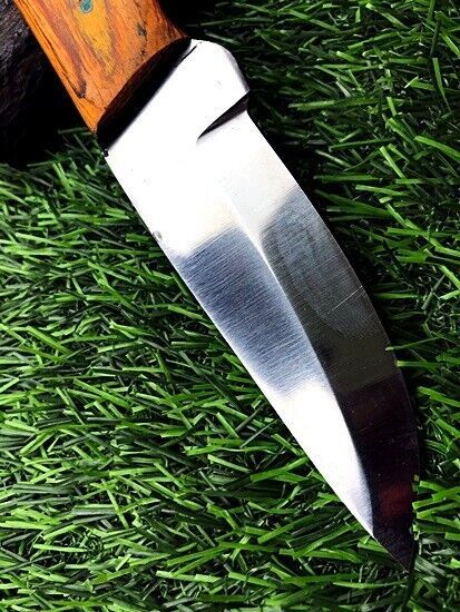 8" Hand-Forged Stainless Steel Skinner Knife – Hunting & Survival Blade with Leather Sheath