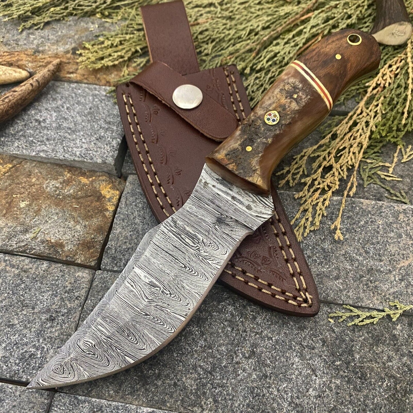 8" Damascus Steel Bowie Knife with Ram Horn & Wood Handle