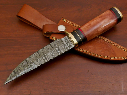 10 Inch Custom Damascus Steel Hunting Knife with Camel Bone and Pakka Wood Handle Brass Guard