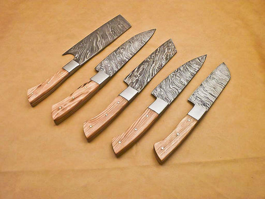 Rody Stan Handmade Damascus Chef Knife Set – Lot of 5 Full Tang Kitchen Knives
