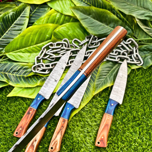 Lot of 5 Handmade Damascus Steel Full Tang Kitchen Chef Knife Set – Premium Hardwood Handle EDC Knives