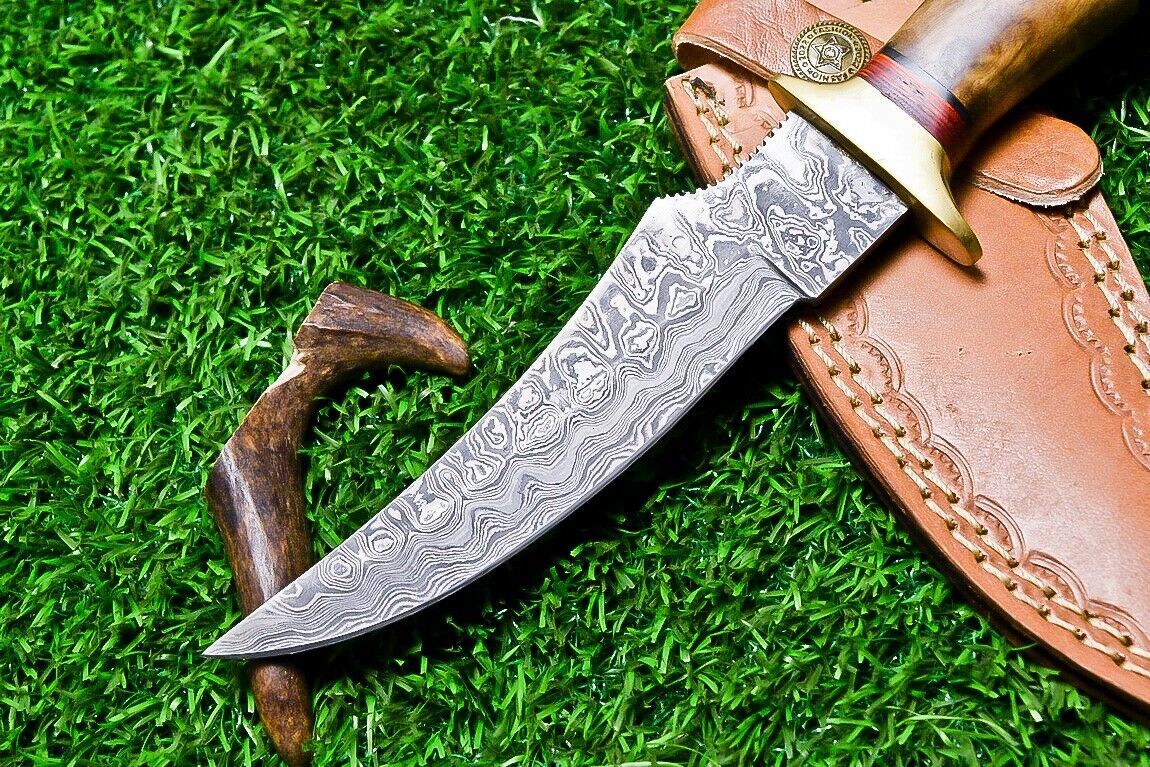 10" Handmade Damascus Steel Bowie Knife | Natural Wood Handle