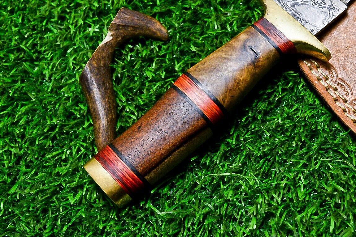 10" Handmade Damascus Steel Bowie Knife | Natural Wood Handle