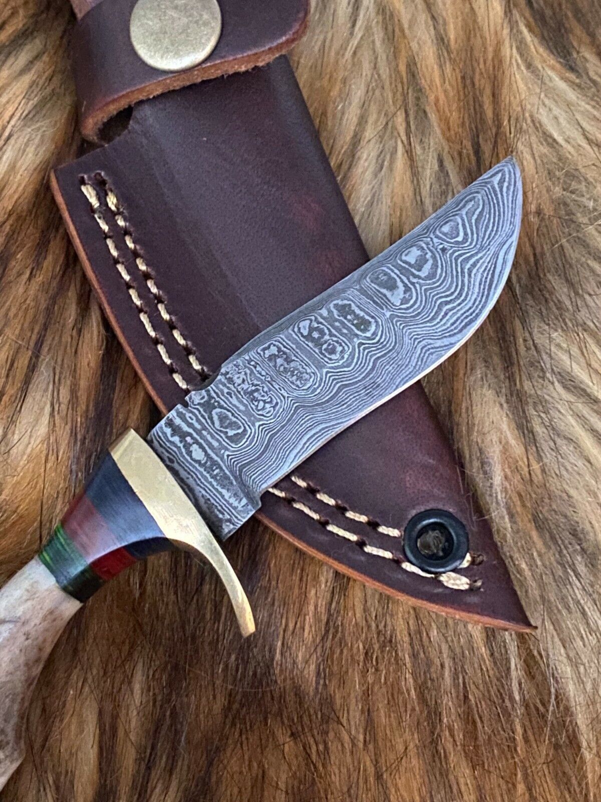 Forged Damascus Hunting Knife Stag Handle with Brass Guard and Leather Sheath