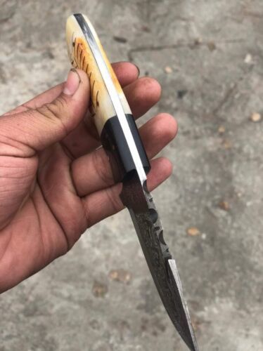 8" Custom Damascus Hunting Knife with Bone & Sheet Handle – Full Tang Handmade Bowie