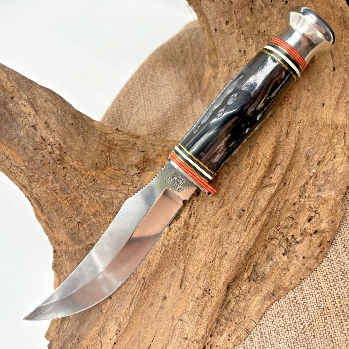 10" Skinner Knife with 5" Stainless Steel Blade & Black Buffalo Horn Handle