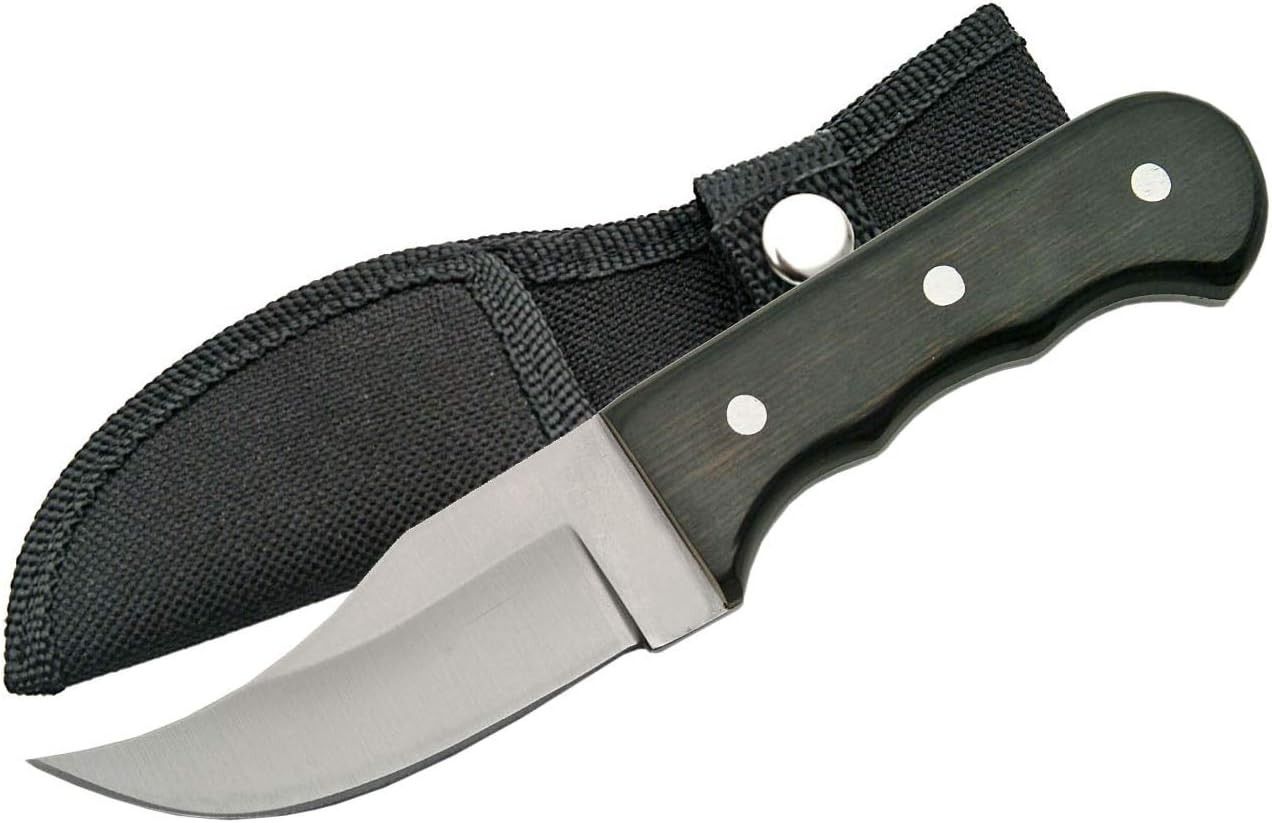 6.25″ Skinner Knife – Full Tang Stainless Steel Blade, Black Wood Handle, Nylon Sheath