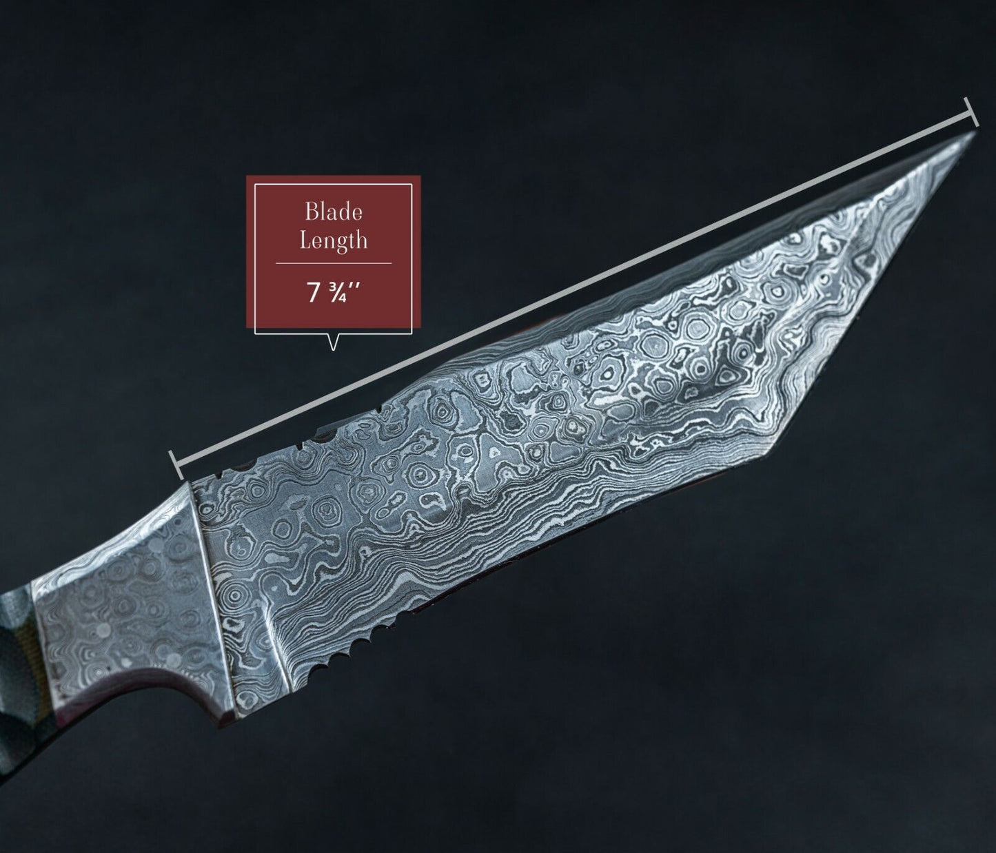 Damascus Steel Tracker Bowie Knife – 10” Handmade Fixed Blade with Black Bone Handle
