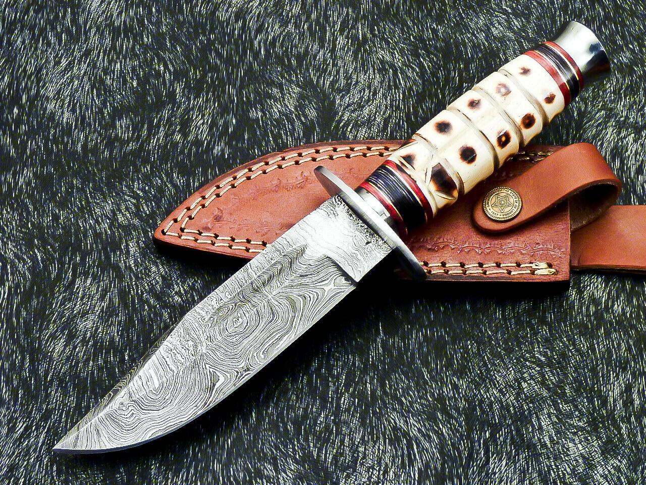 Hand Forged Damascus 10" Bowie Hunting Knife | Camel Bone & Hardwood Handle