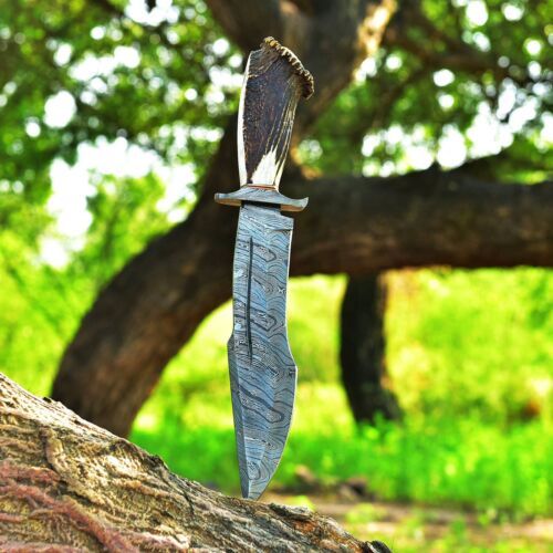 Handmade Damascus Steel Rambo Bowie Knife | Stag Crown & Cocobolo Wood