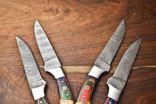 Custom Lot of 4 Rare Handmade Damascus Steel Chef Knife Set