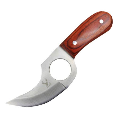 6" Custom Full Tang Stainless Steel Skinner Knife with Wood Handle – Hunting & EDC