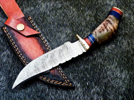 Heritage Forge 10 Inch Damascus Steel Hunting Bowie Knife with Ram Horn and Hardwood Handle