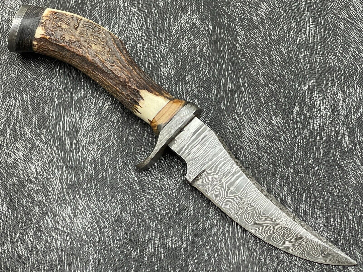 Heritage Forge 8 Inch Damascus Steel Hunting Bowie Knife with Stag Horn and Hardwood Handle