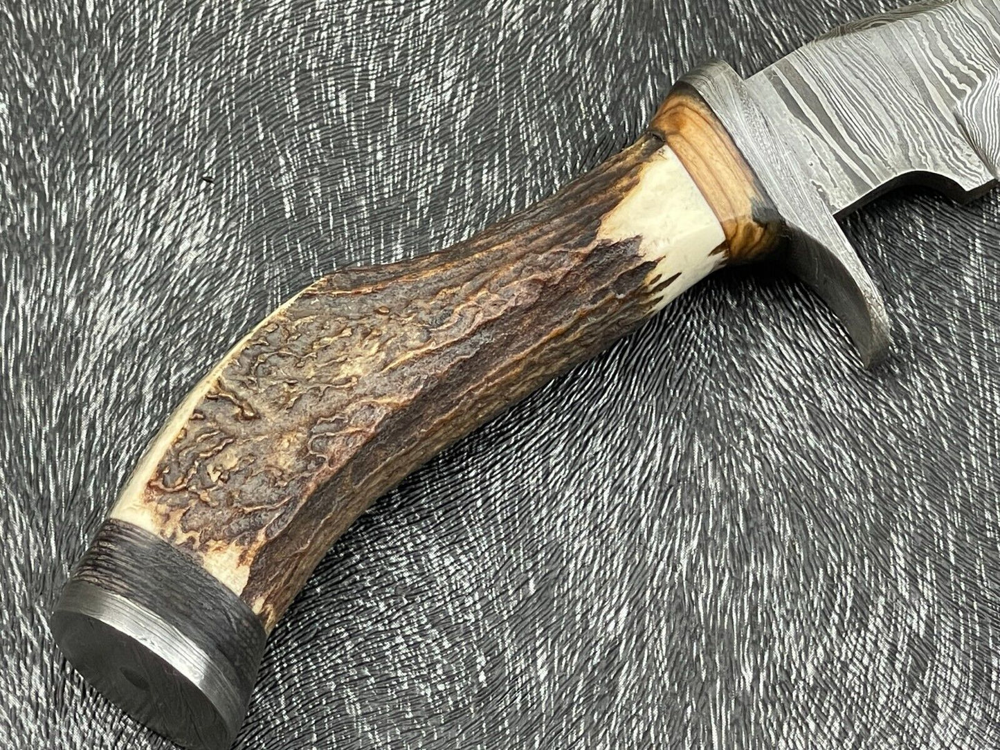 Heritage Forge 8 Inch Damascus Steel Hunting Bowie Knife with Stag Horn and Hardwood Handle