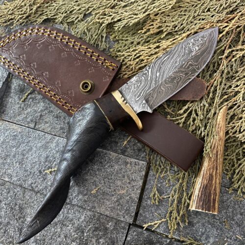 8" Damascus Steel Bowie Knife with Ram Horn Handle – EDC Fixed Blade
