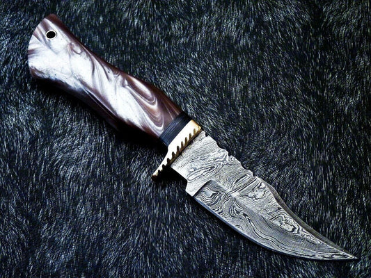 8" Custom Handmade Damascus Bowie Hunting Knife – Resin Handle with Brass Bolster
