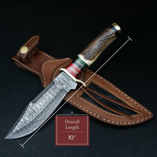 10 Inch Handmade Damascus Steel Hunting Knife with Stag Horn Handle