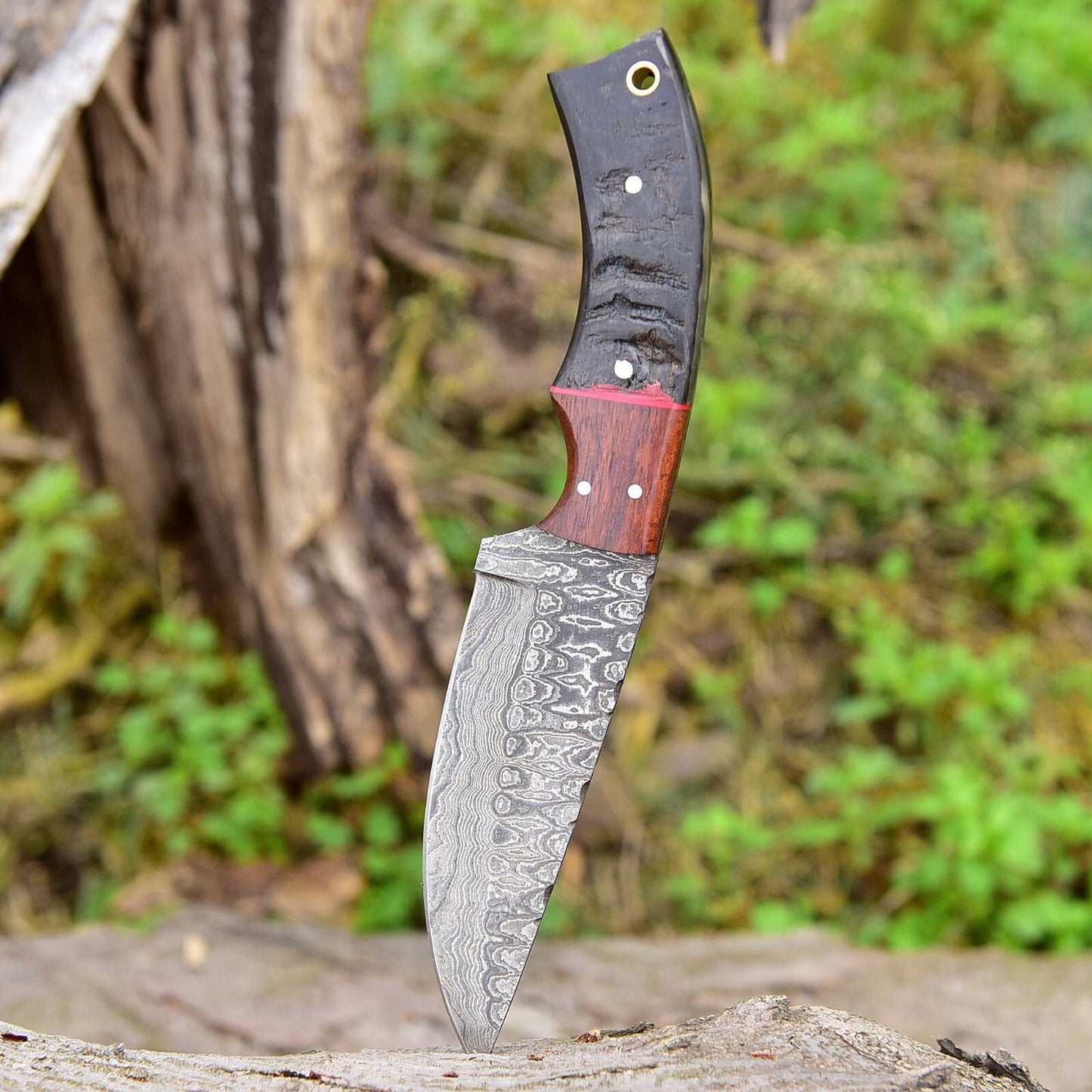 8" Damascus Bowie Knife – Ram’s Horn & Wood Handle with Leather Sheath