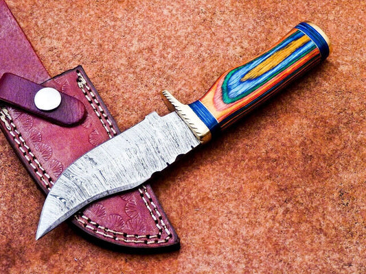Heritage Forge 8 Inch Damascus Hunting Knife with Multicolor Wood Handle and Brass Bolster