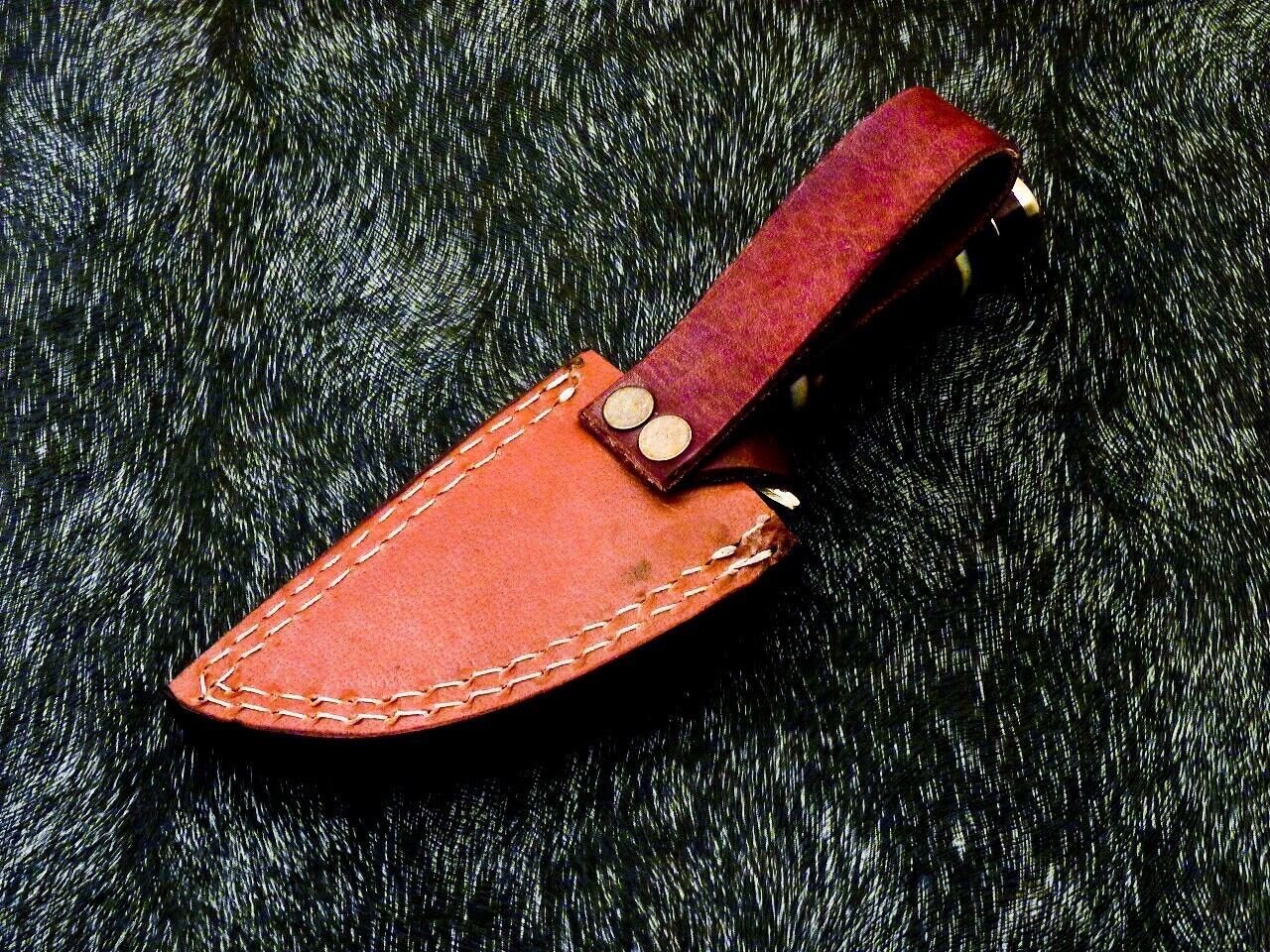 6" Compact Damascus Bowie Knife – Engraved Camel Bone & Hardwood Handle