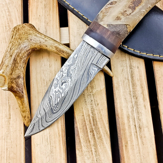 8.5" Hand Forged Damascus Bowie Knife | Ram Horn Handle