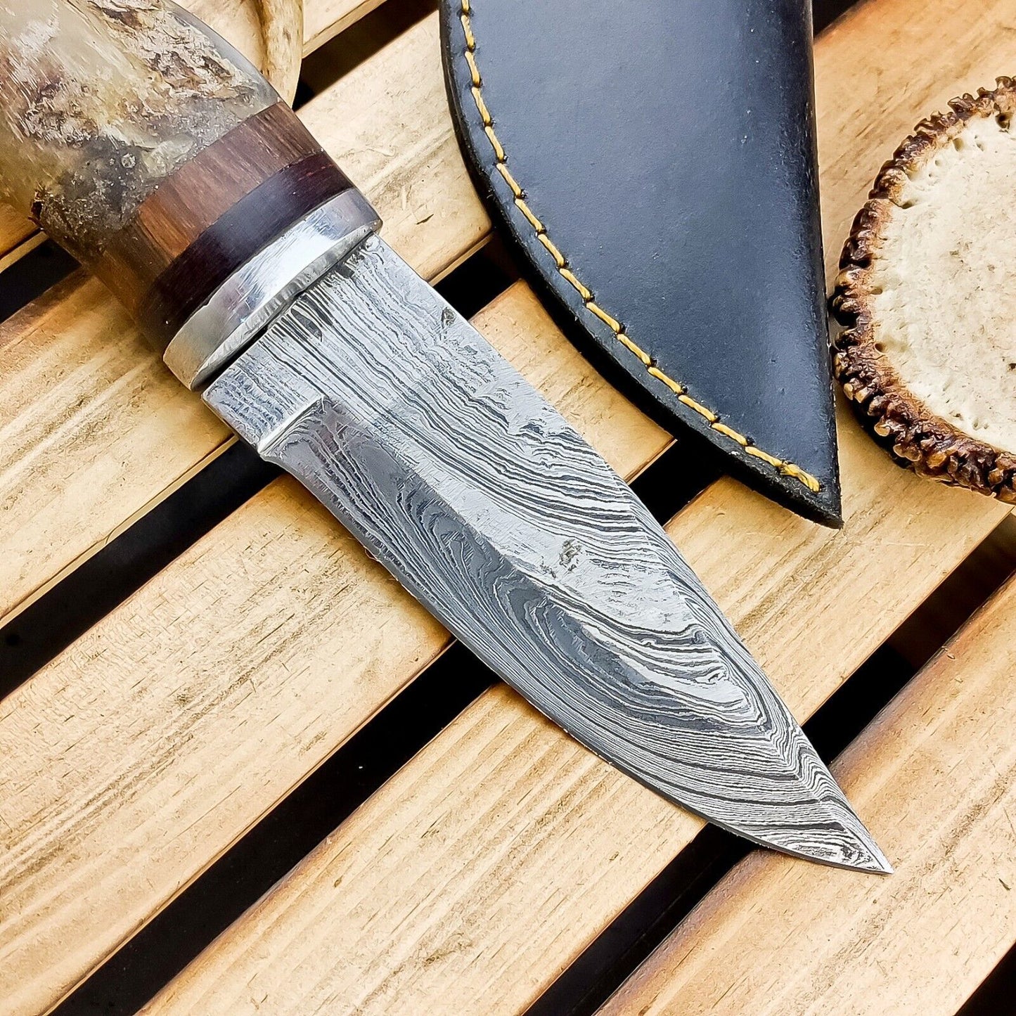 8.5" Hand Forged Damascus Bowie Knife | Ram Horn Handle