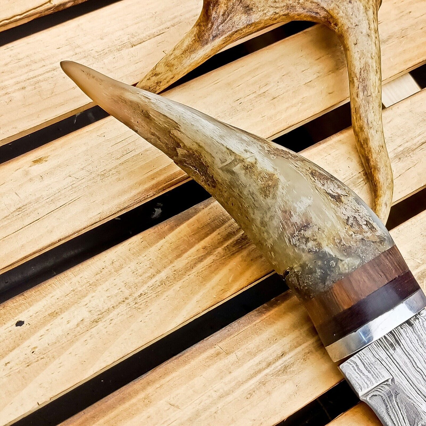 8.5" Hand Forged Damascus Bowie Knife | Ram Horn Handle