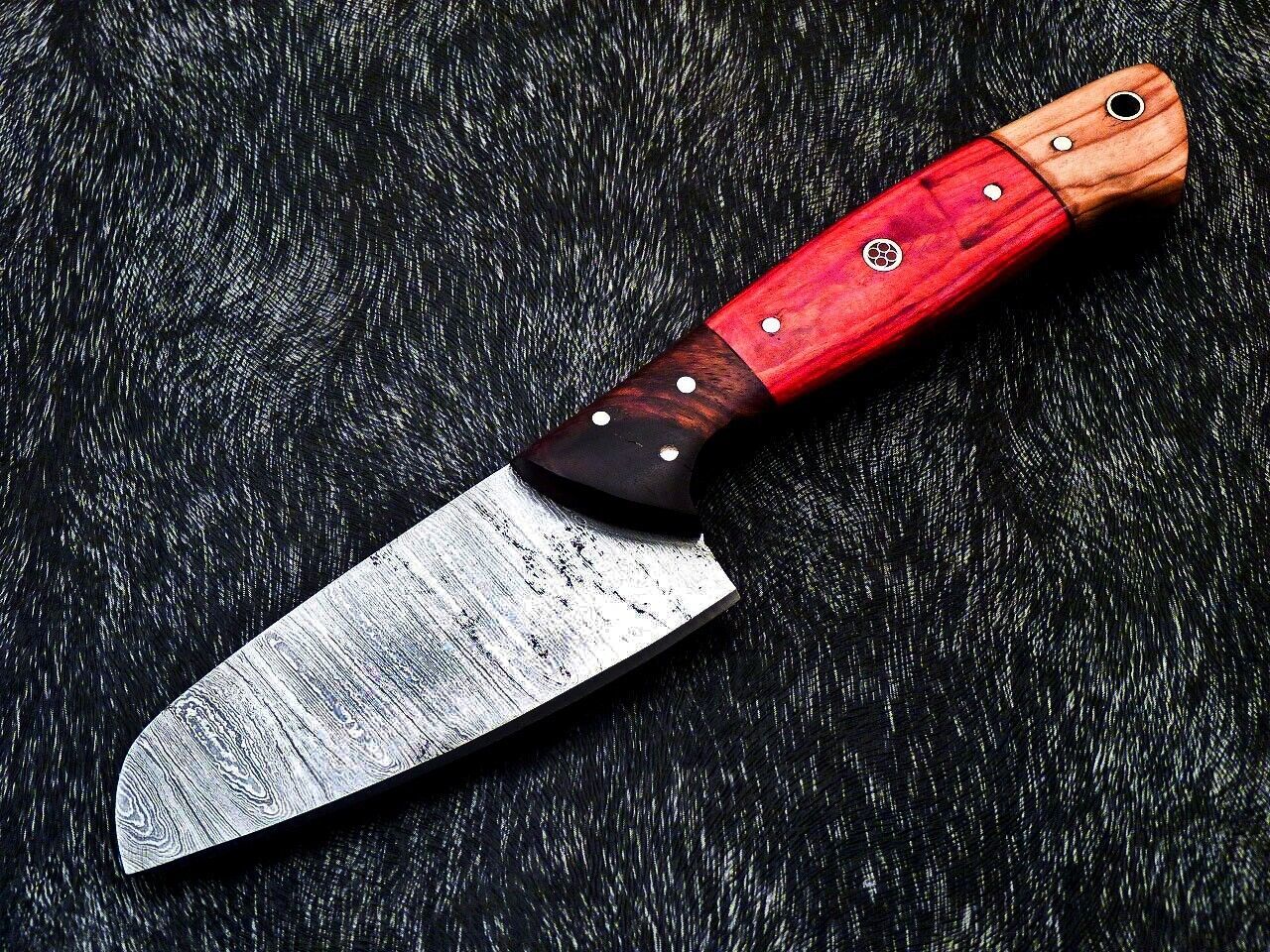 10.0" Professional Kitchen Chef Knife Damascus Blade with Camel Bone Handle – Handmade Custom