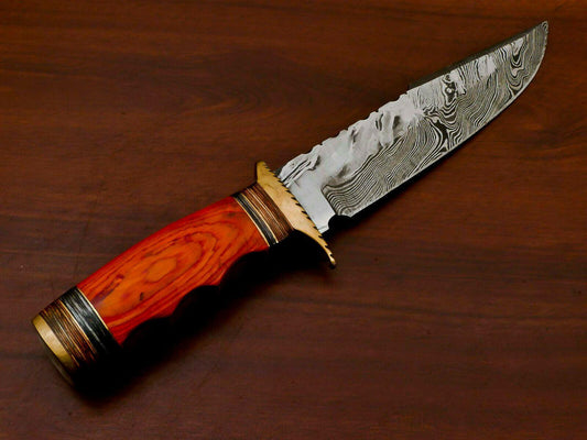 12" Damascus Bowie Knife | Pakka Wood Handle & Brass Guard