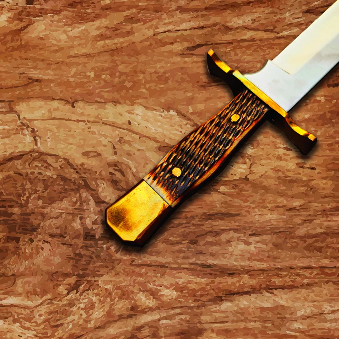 11-Inch Custom Handmade D2 Hunting Bowie Camping Survival Knife