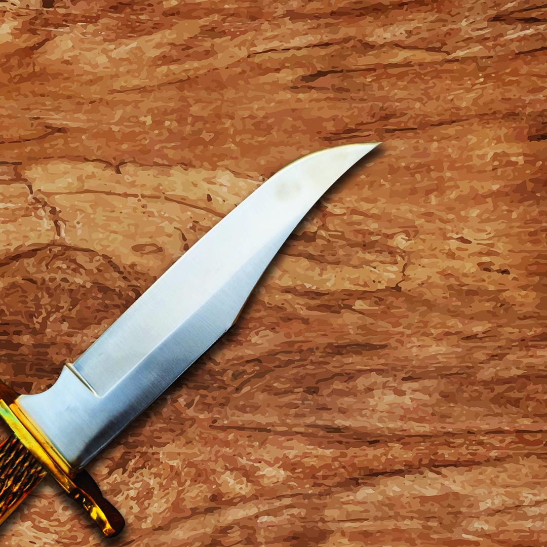 11-Inch Custom Handmade D2 Hunting Bowie Camping Survival Knife