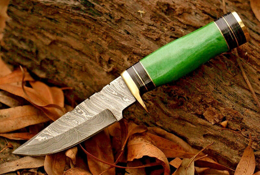8 Inch Damascus Steel Bowie Knife with Resin Handle and Brass Guard