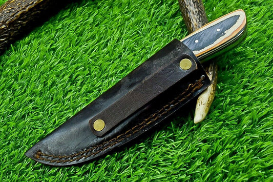 8" Custom Damascus Steel Bowie Knife – Hardwood Handle & Filework Spine