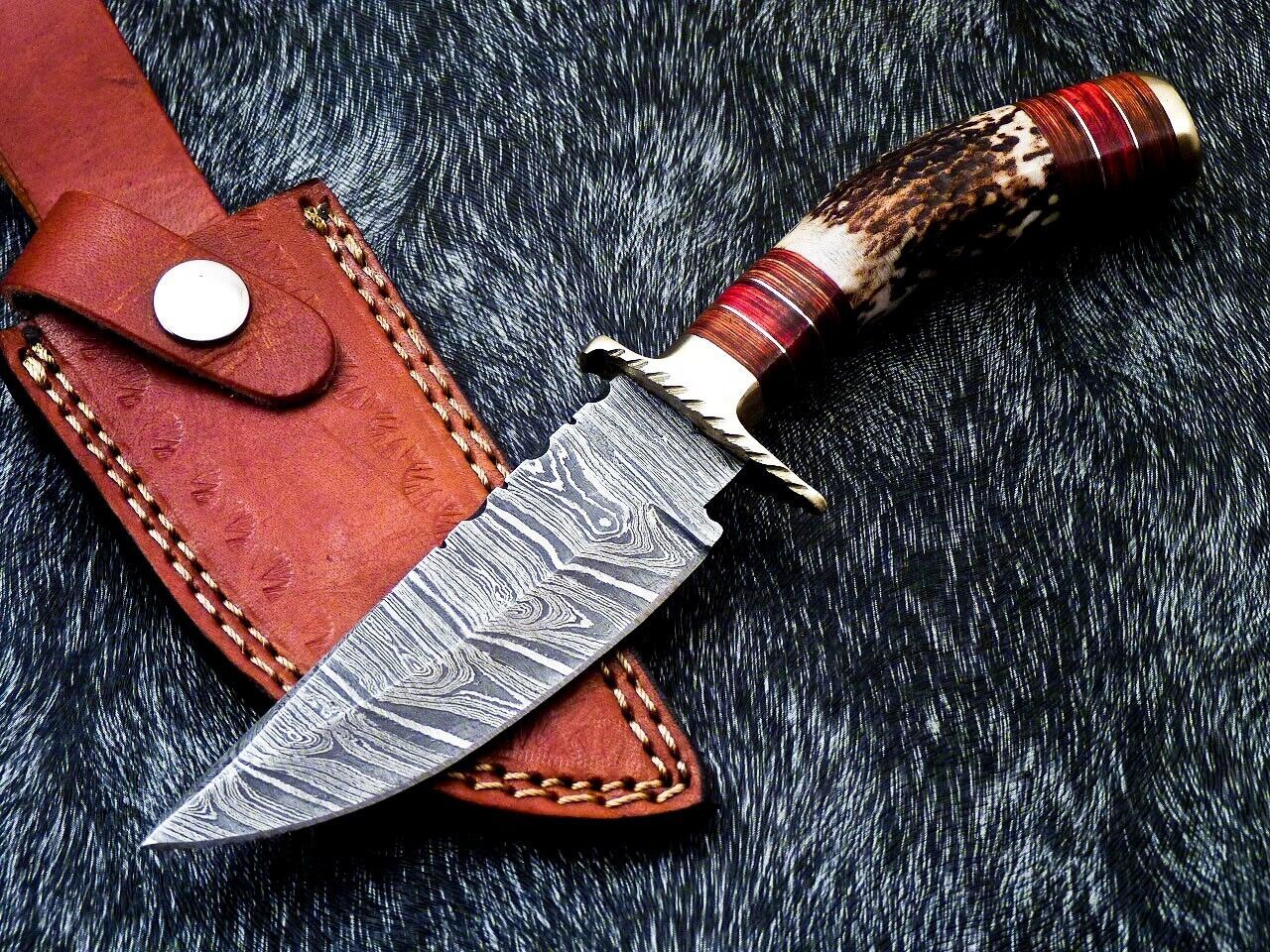 8" Damascus Bowie Knife – Stag Horn Handle & Brass Bolster