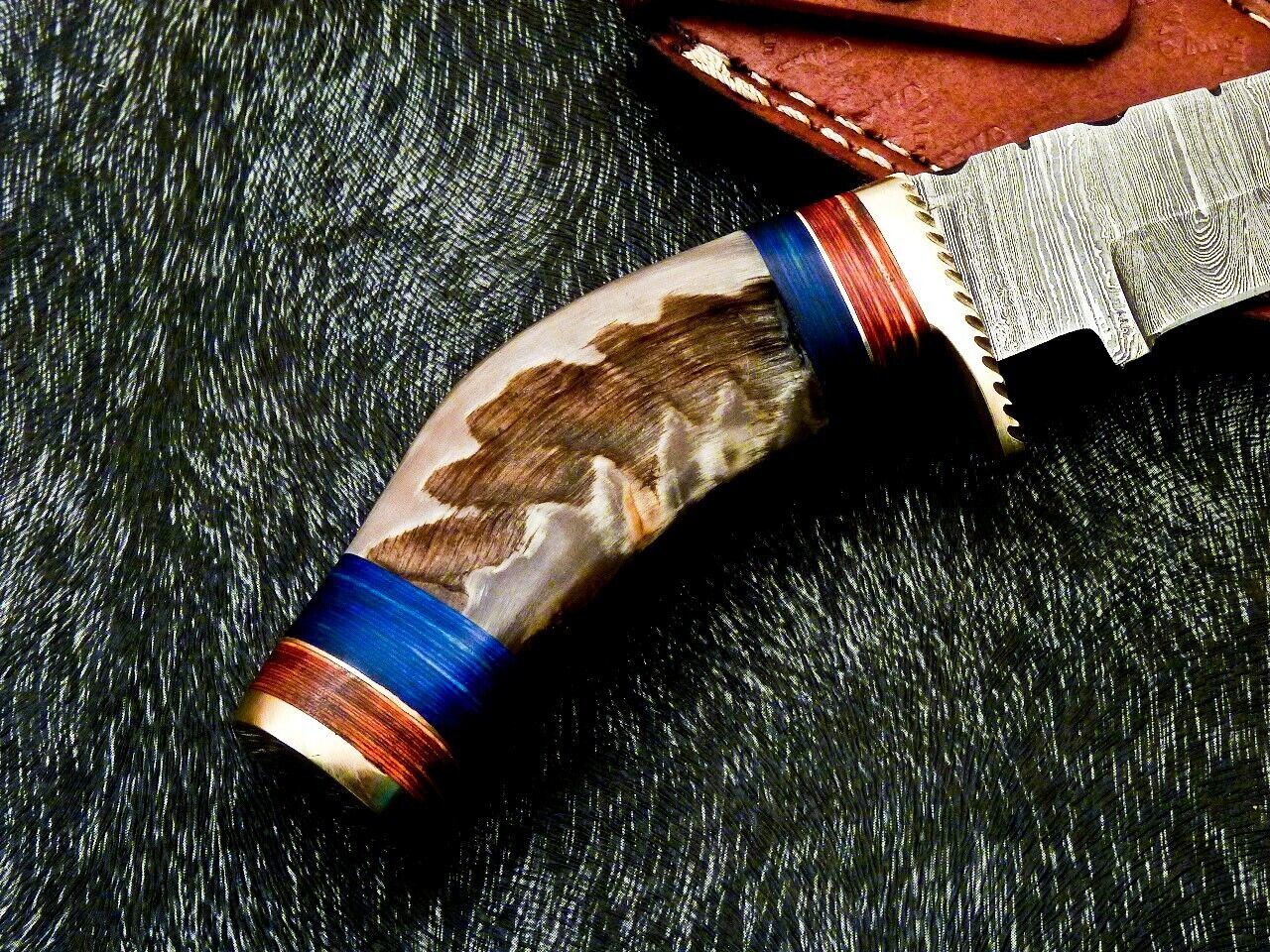 Heritage Forge 8 Inch Damascus Steel Hunting Knife with Ram Horn and Wood Handle