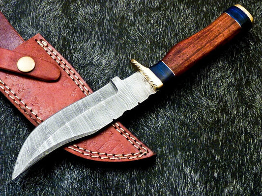 Heritage Forge 10 Inch Handmade Damascus Steel Bowie Hunting Knife with Wood and Brass Handle