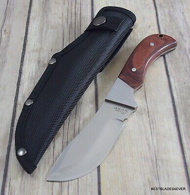 8" Outdoorsman Skinner Knife – Stainless Steel Full Tang Blade with Pakka-Wood Handle & Nylon Sheath