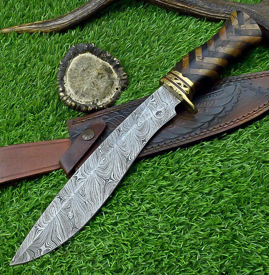 Hand Forged Damascus Bowie Knife with Natural Wood Handle and Brass Bolster 14.5 Inches