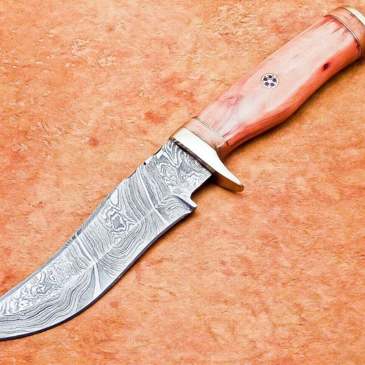 10" Hand Forged Damascus Bowie Knife – Olive Wood Handle