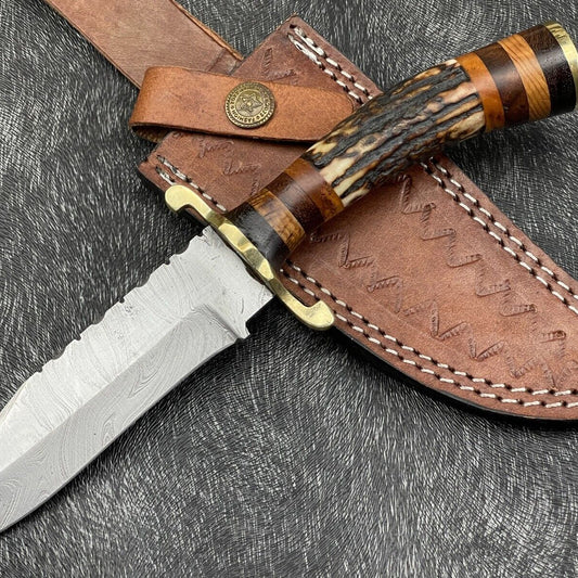 10" Hand Forged Damascus Hunting Knife – Stag Horn & Wood Handle
