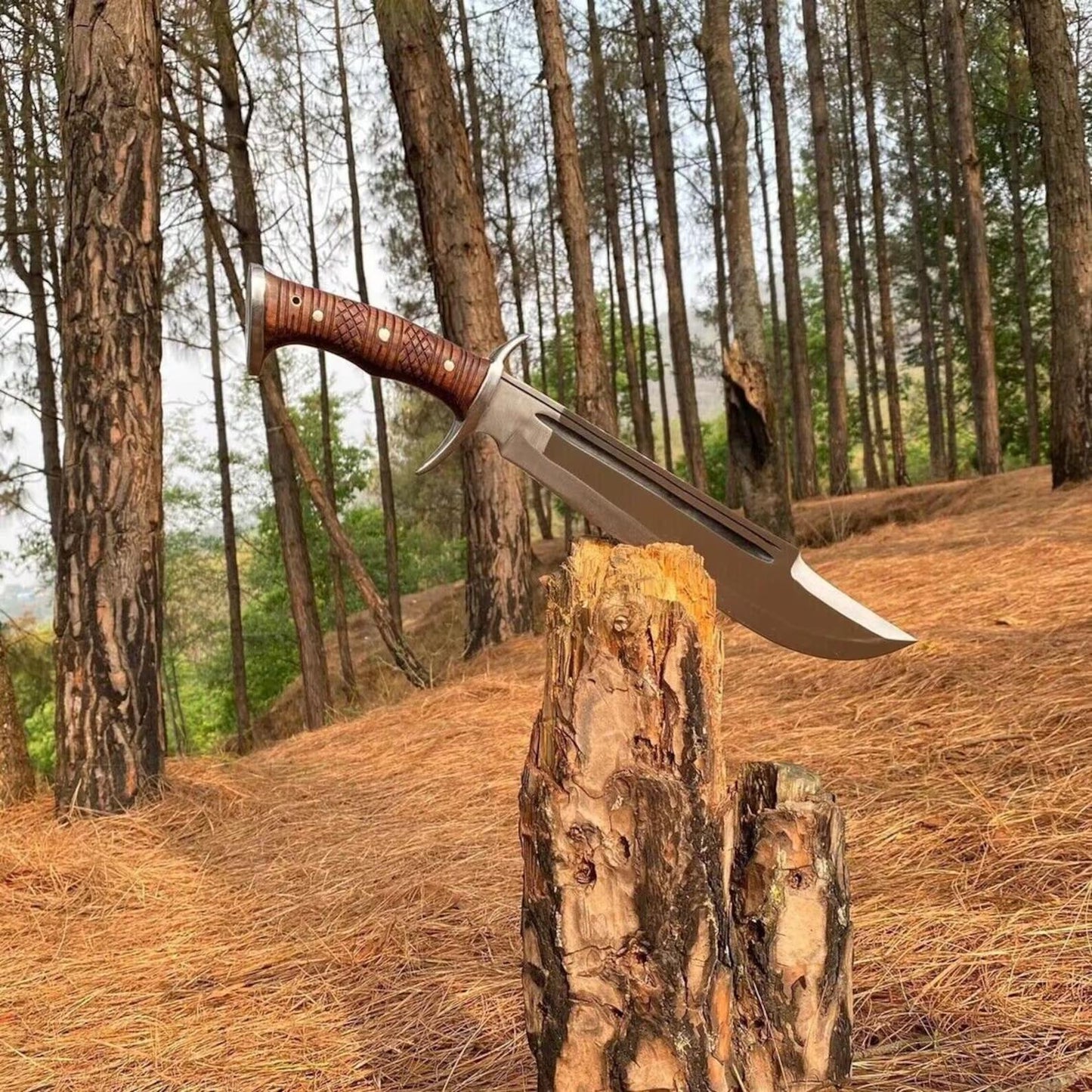 14" Handmade D2 Steel Bowie Hunting Knife Full Tang Tactical Bowie Knife with Rosewood Handle 