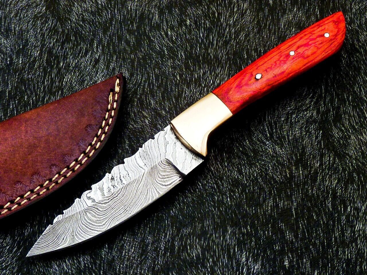 Heritage Forge 8 Inch Full Tang Damascus Bowie Knife with Hardwood Handle and Brass Bolster