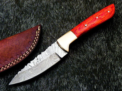 Heritage Forge 8 Inch Full Tang Damascus Bowie Knife with Hardwood Handle and Brass Bolster