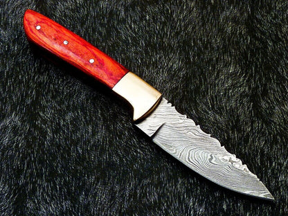 Heritage Forge 8 Inch Full Tang Damascus Bowie Knife with Hardwood Handle and Brass Bolster