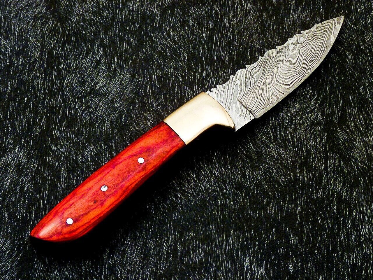 Heritage Forge 8 Inch Full Tang Damascus Bowie Knife with Hardwood Handle and Brass Bolster